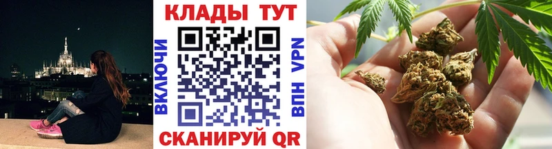 Где можно купить наркотики Онега Каннабис  A-PVP  ГАШ  Псилоцибиновые грибы  КОКАИН 