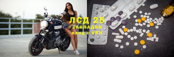 амф Гусиноозёрск