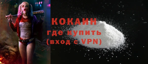 амф Гусиноозёрск