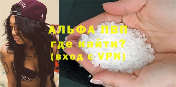 амф Гусиноозёрск