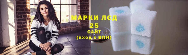 амф Гусиноозёрск