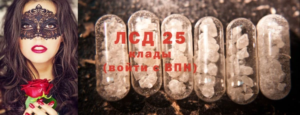 первитин Гусев