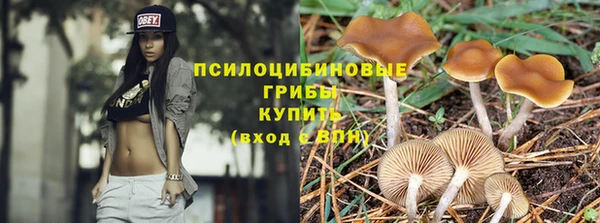 первитин Гусев