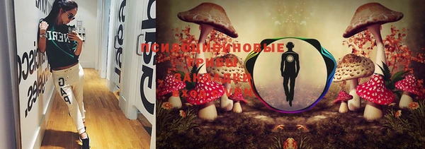кокс Михайловка