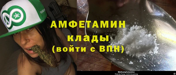 амф Гусиноозёрск