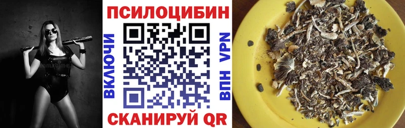 Галлюциногенные грибы MAGIC MUSHROOMS купить сайты МЕГА зеркало Онега